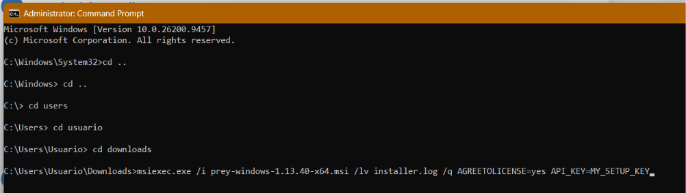 windowsmsi4.png
